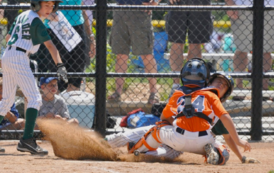 Lsfbl Board Lake Shore Feeder Baseball League